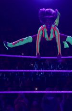 WWE - Live in Nottingham 11/09/2017