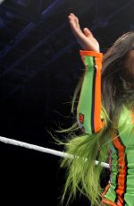 WWE - Live in Nottingham 11/09/2017