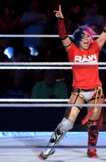WWE - Survivor Series 2017