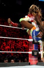 WWE - Survivor Series 2017