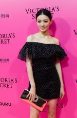 XU LU at 2017 VS Fashion Show After Party in Shanghai 11/20/2017