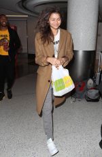 ZENDAYA COLEMAN at Los Angeles International Airport 11/22/2017