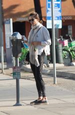 ALESSANDRA AMBROSIO Heading to a Gym in Los Angeles 12/04/2017
