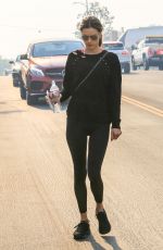 ALESSANDRA AMBROSIO Out and About in Los Angeles 12/05/2017
