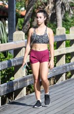 ALY RAISMAN Out and About in Miami Beach 12/07/2017