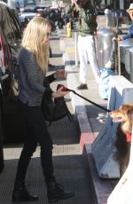 AMANDA SEYFRIED and Her Dog at LAX Airport in Los Angeles 11/27/2017