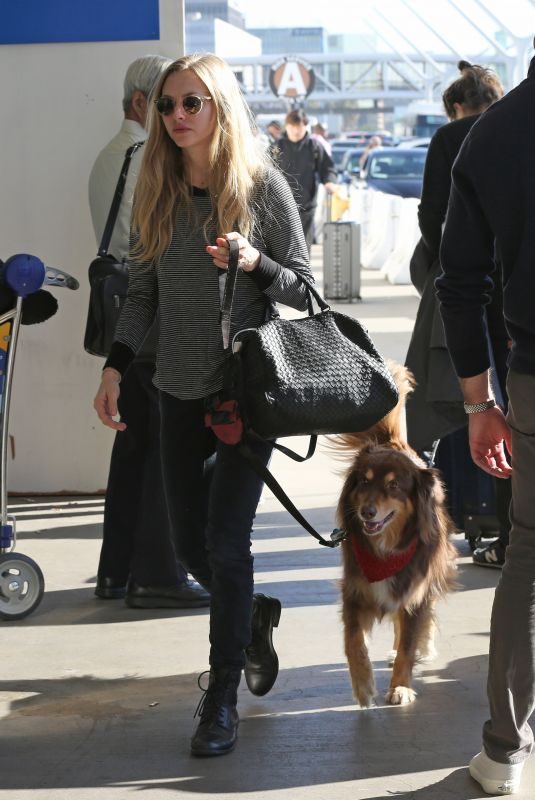 AMANDA SEYFRIED and Her Dog at LAX Airport in Los Angeles 11/27/2017