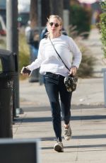 AMANDA SEYFRIED Out for Lunch in Los Angeles 12/06/2017
