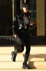 AMELIA HAMLIN Out Shopping in Beverly Hills 12/18/2017