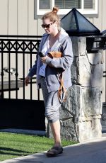 AMY ADAMS Out and About in Los Angeles 12/11/2017