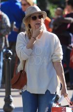 AMY ADAMS Out Shopping at The Grove in Los Angeles 12/21/2017