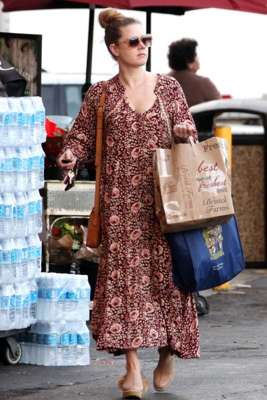 AMY ADAMS Out Shopping in West Hollywood 12/01/2017