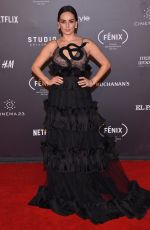 ANA DE LA REGUERA at Fenix Film Awards in Mexico City 12/06/2017