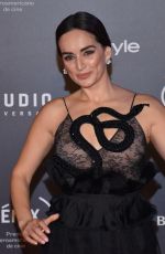 ANA DE LA REGUERA at Fenix Film Awards in Mexico City 12/06/2017