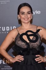 ANA DE LA REGUERA at Fenix Film Awards in Mexico City 12/06/2017