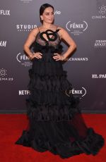 ANA DE LA REGUERA at Fenix Film Awards in Mexico City 12/06/2017