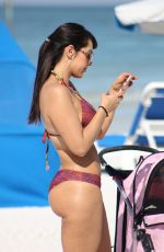 ANDREA CALLE in Bikini at a Beach in Miami 12/23/2017