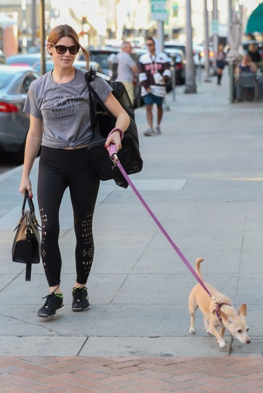 ASHLEY GREENE Out with Her Dog in Beverly HIlls 12/14/2017