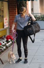 ASHLEY GREENE Out with Her Dog in Beverly HIlls 12/14/2017