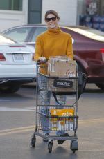 ASHLEY GREENE Shopping at Bristol Farms in Beverly Hills 12/19/2017