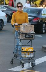 ASHLEY GREENE Shopping at Bristol Farms in Beverly Hills 12/19/2017