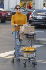 ASHLEY GREENE Shopping at Bristol Farms in Beverly Hills 12/19/2017