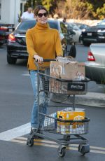 ASHLEY GREENE Shopping at Bristol Farms in Beverly Hills 12/19/2017