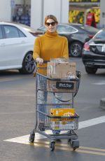 ASHLEY GREENE Shopping at Bristol Farms in Beverly Hills 12/19/2017
