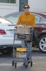 ASHLEY GREENE Shopping at Bristol Farms in Beverly Hills 12/19/2017