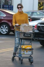 ASHLEY GREENE Shopping at Bristol Farms in Beverly Hills 12/19/2017