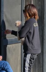 ASHLEY TISDALE Out with Her Dog in Venice Beach 12/19/2017