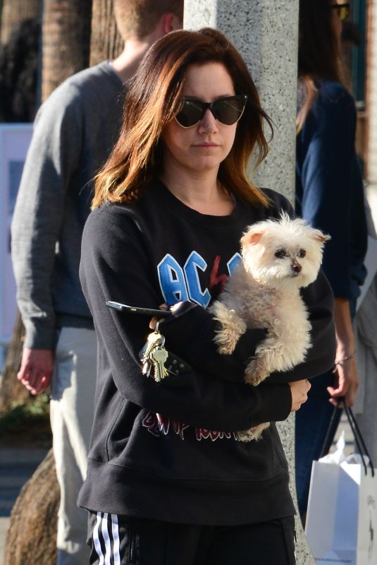 ASHLEY TISDALE Out with Her Dog in Venice Beach 12/19/2017