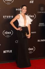 BARBARA MORI at Fenix Film Awards in Mexico City 12/06/2017