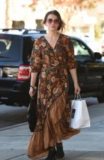 BETHANY JOY LENZ Pick Up Lunch in Los Angeles 12/29/2017