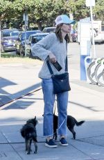 CALISTA FLOCKHART Out woth Her Dogs in Brentwood 12/16/2017