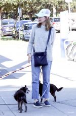 CALISTA FLOCKHART Out woth Her Dogs in Brentwood 12/16/2017