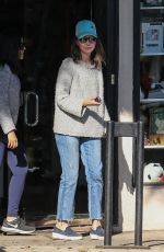 CALISTA FLOCKHART Out woth Her Dogs in Brentwood 12/16/2017