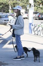 CALISTA FLOCKHART Out woth Her Dogs in Brentwood 12/16/2017