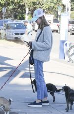 CALISTA FLOCKHART Out woth Her Dogs in Brentwood 12/16/2017