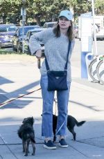 CALISTA FLOCKHART Out woth Her Dogs in Brentwood 12/16/2017