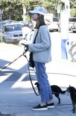 CALISTA FLOCKHART Out woth Her Dogs in Brentwood 12/16/2017