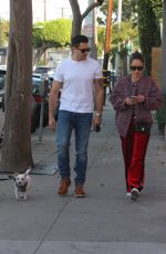 CARA SANTANA and Jesse Metcalfe Out with Their Dogs in West Hollywood 12/02/2017