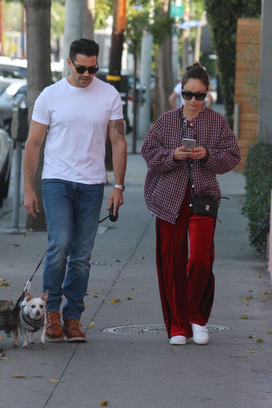 CARA SANTANA and Jesse Metcalfe Out with Their Dogs in West Hollywood 12/02/2017