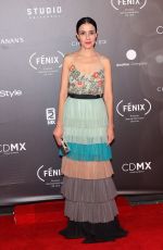 CECILIA SUAREZ at Fenix Film Awards in Mexico City 12/06/2017