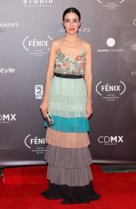 CECILIA SUAREZ at Fenix Film Awards in Mexico City 12/06/2017