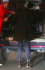 DAKOTA JOHNSON at LAX Airport in Los Angeles 12/13/2017