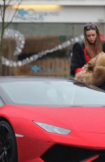 DARIA RADIONOVA in Swarovski Chrystal Covered Lamborghini Out in London 12/24/2017