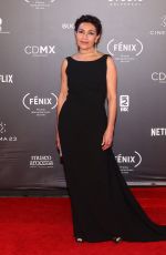 DOLORES HEREDIA at Fenix Film Awards in Mexico City 12/06/2017