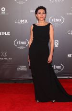 DOLORES HEREDIA at Fenix Film Awards in Mexico City 12/06/2017