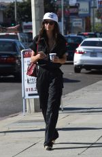 EMILY RATAJKOWSKI Out for Lunch in Los Angeles 12/03/2017